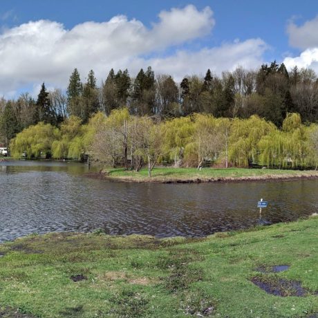 The view of the lake